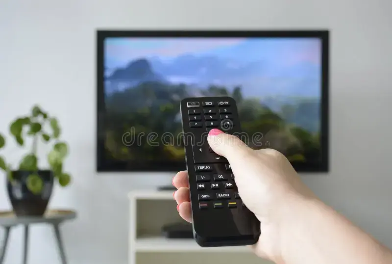 Suscripción Plan Básico