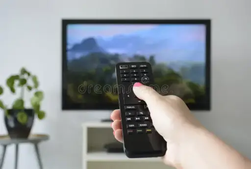 Suscripción Plan Básico